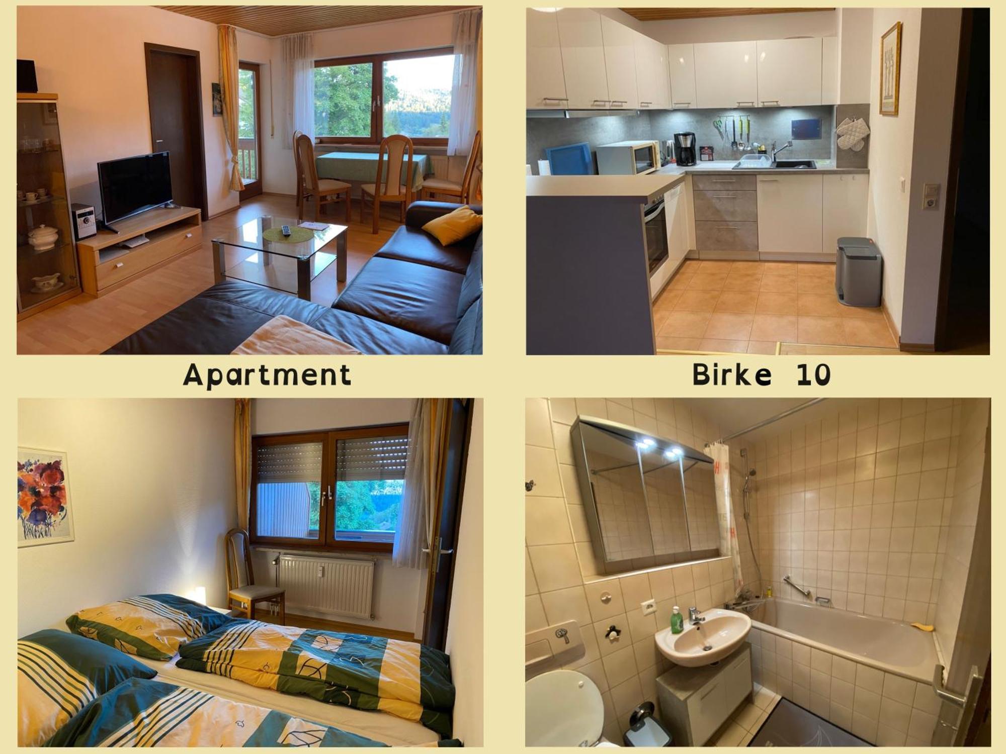 Апартаменты Birke 9, 10 Oder 11 Тодтмос Экстерьер фото